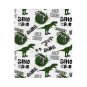 Anime cartoon Dinosaur dino Thick fleece blanket 50X60 inch for kids boys girls