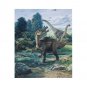 Dinosaur dino Thick fleece blanket 50X60 inch for kids boys girls