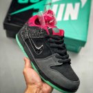 premier x sb dunk low premium “northern lights” 724183-063