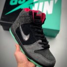 premier x sb women & men dunk high “northern lights” 313171-063