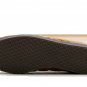 Gazelle Brown Desert