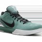 Zoom Kobe 4 Protro Bicoastal
