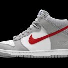 Dunk Hi SE (GS) Athletic Club