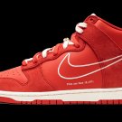 Dunk Hi SE First Use