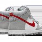 Dunk Hi SE (GS) Athletic Club