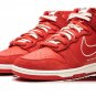 Dunk Hi SE First Use