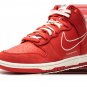 Dunk Hi SE First Use