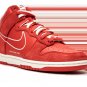 Dunk Hi SE First Use