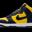 Dunk High Michigan 2025
