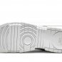 DUNK LO DISRUPT MNS WMNS White Silver