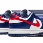 DUNK LO MNS WMNS USA