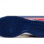 DUNK LO MNS WMNS USA