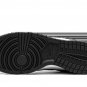 DUNK LO NEXT NATURE MNS WMNS White _ Black