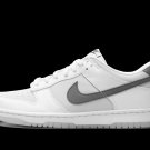 Dunk Low GS Reflective Swoosh