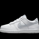 Dunk Low PS White Pure Platinum