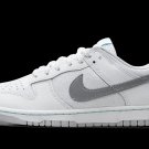 Dunk Low SE Winter Storm
