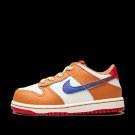 Dunk Low TD Hot Curry