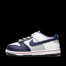 Dunk Low TD Nets