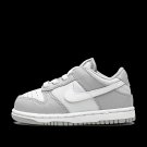 DUNK LOW TD Two Toned Grey