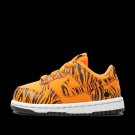 Dunk Low Tiger Stripes
