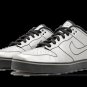 Dunk SE 6.0 Delorean (2010)