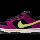 SB Dunk Low ACG Terra Red Plum