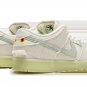 SB Dunk Low Mummy