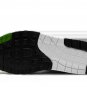 2025 & 2026 Max 1 Patta - Chlorophyll 2024
