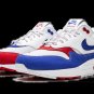 2025 & 2026 Max 1 Premium Puerto Rico