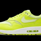2025 & 2026 MAX 1 PRM Volt