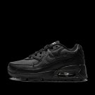 2025 & 2026 Max 90 Black PS