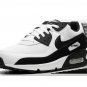 2025 & 2026 Max 90 Panda