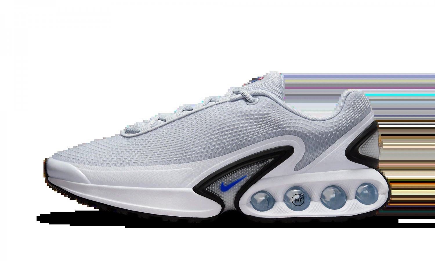 2025 & 2026 Max Dn Pure Platinum _ Hyper Royal