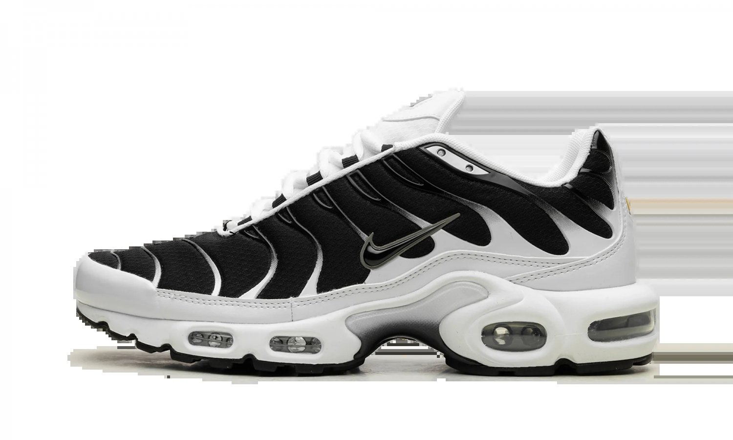 2025 & 2026 Max Plus Black _ White