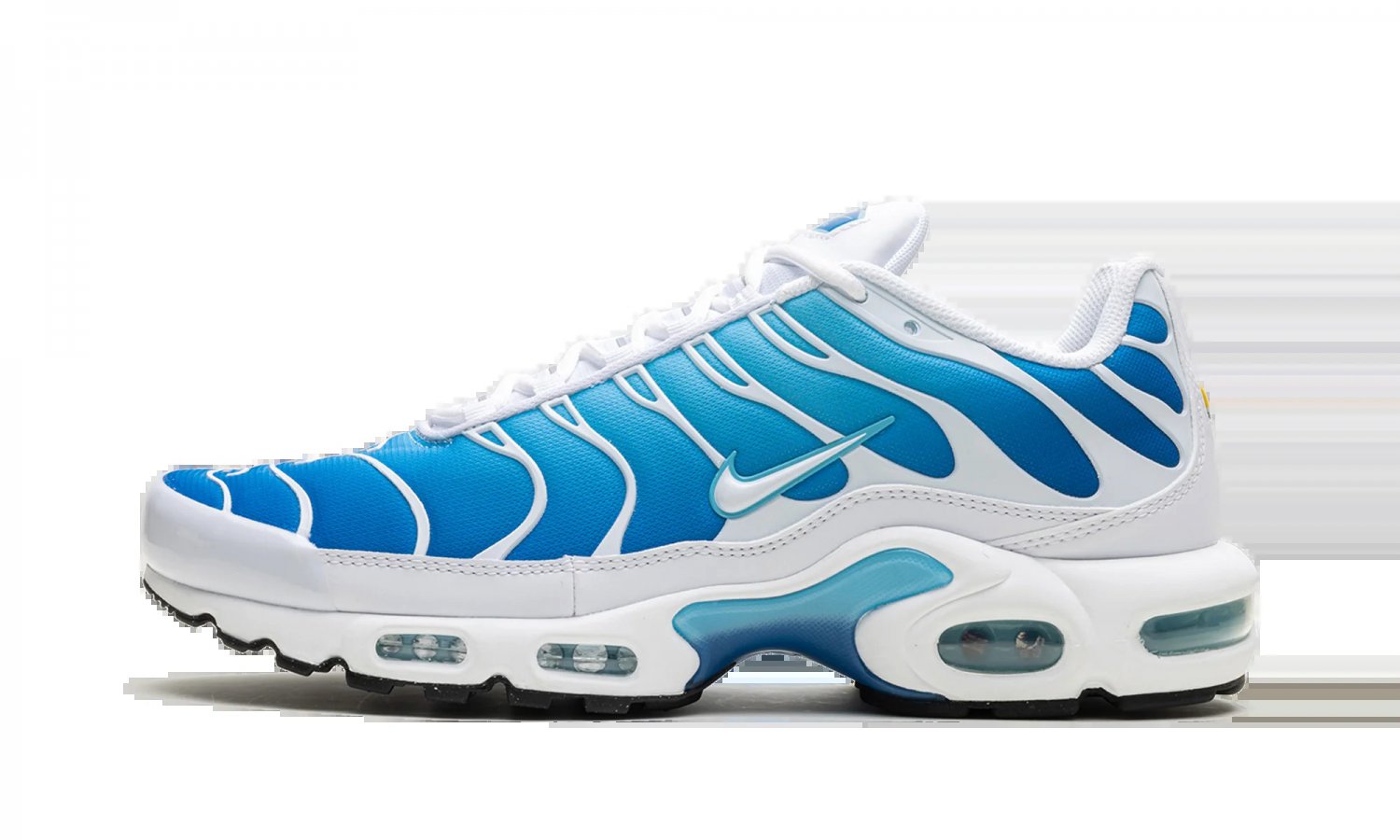 2025 & 2026 Max Plus Blue Gaze