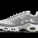 2025 & 2026 Max Plus Metallic Silver