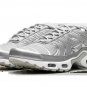 2025 & 2026 Max Plus Metallic Silver