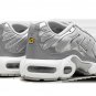 2025 & 2026 Max Plus Metallic Silver