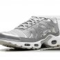 2025 & 2026 Max Plus Metallic Silver