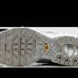 2025 & 2026 Max Plus Metallic Silver