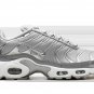 2025 & 2026 Max Plus Metallic Silver