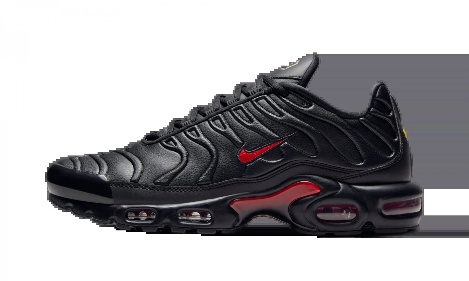 2025 & 2026 Max Plus Premium Bred