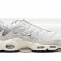 2025 & 2026 Max Plus Pure Platinum