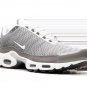 2025 & 2026 Max Plus SE Flat Pewter