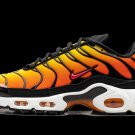 2025 & 2026 Max Plus Sunset