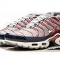 2025 & 2026 Max Plus USA Grey