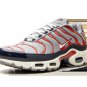 2025 & 2026 Max Plus USA Grey