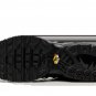 2025 & 2026 Max Plus Utility Black Metallic