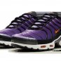 2025 & 2026 Max Plus Voltage Purple