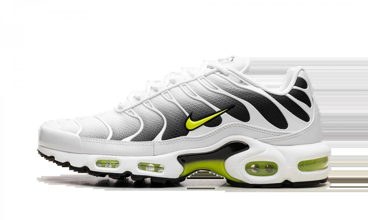 2025 & 2026 Max Plus White Black Volt